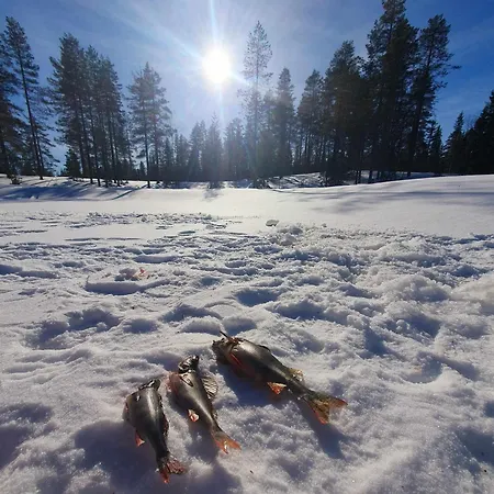 Saunatupa * Syöte